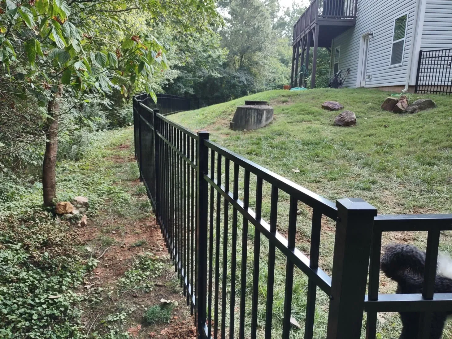 Black metal fence beside grassy yard.