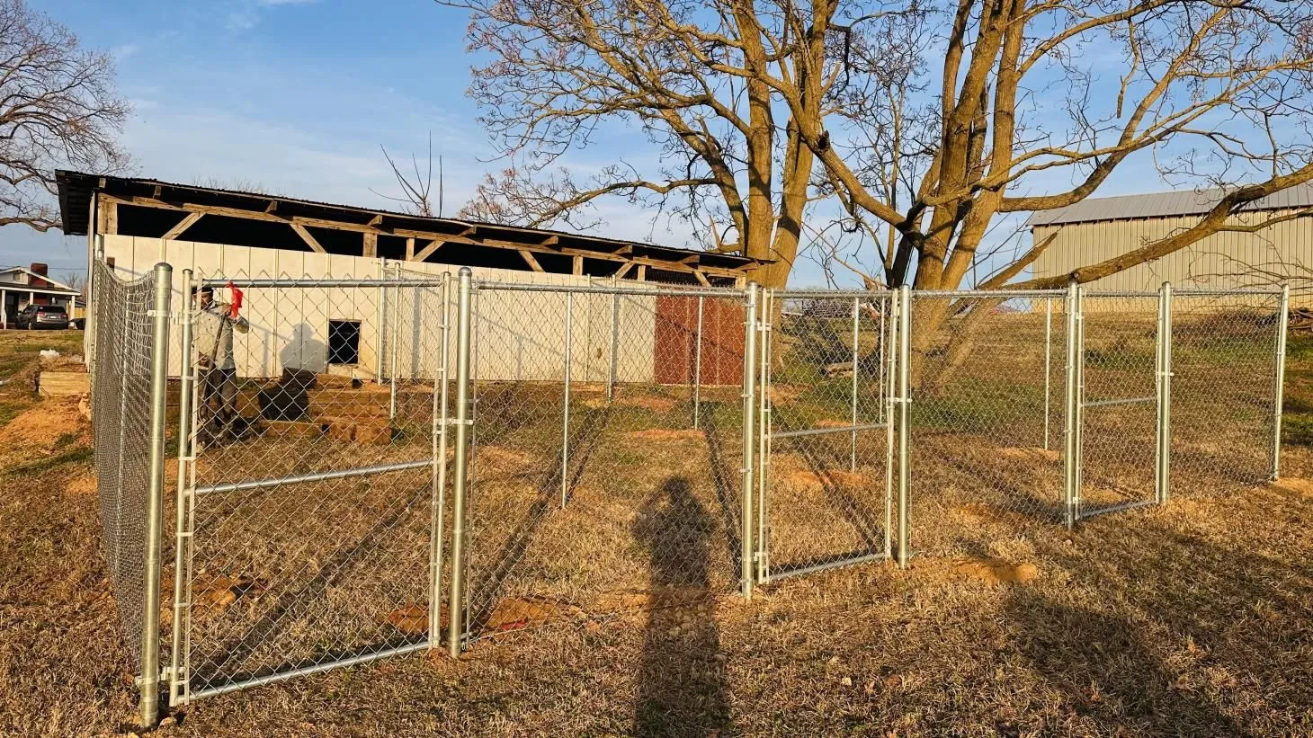 Chain-link fence with shadow and trees.