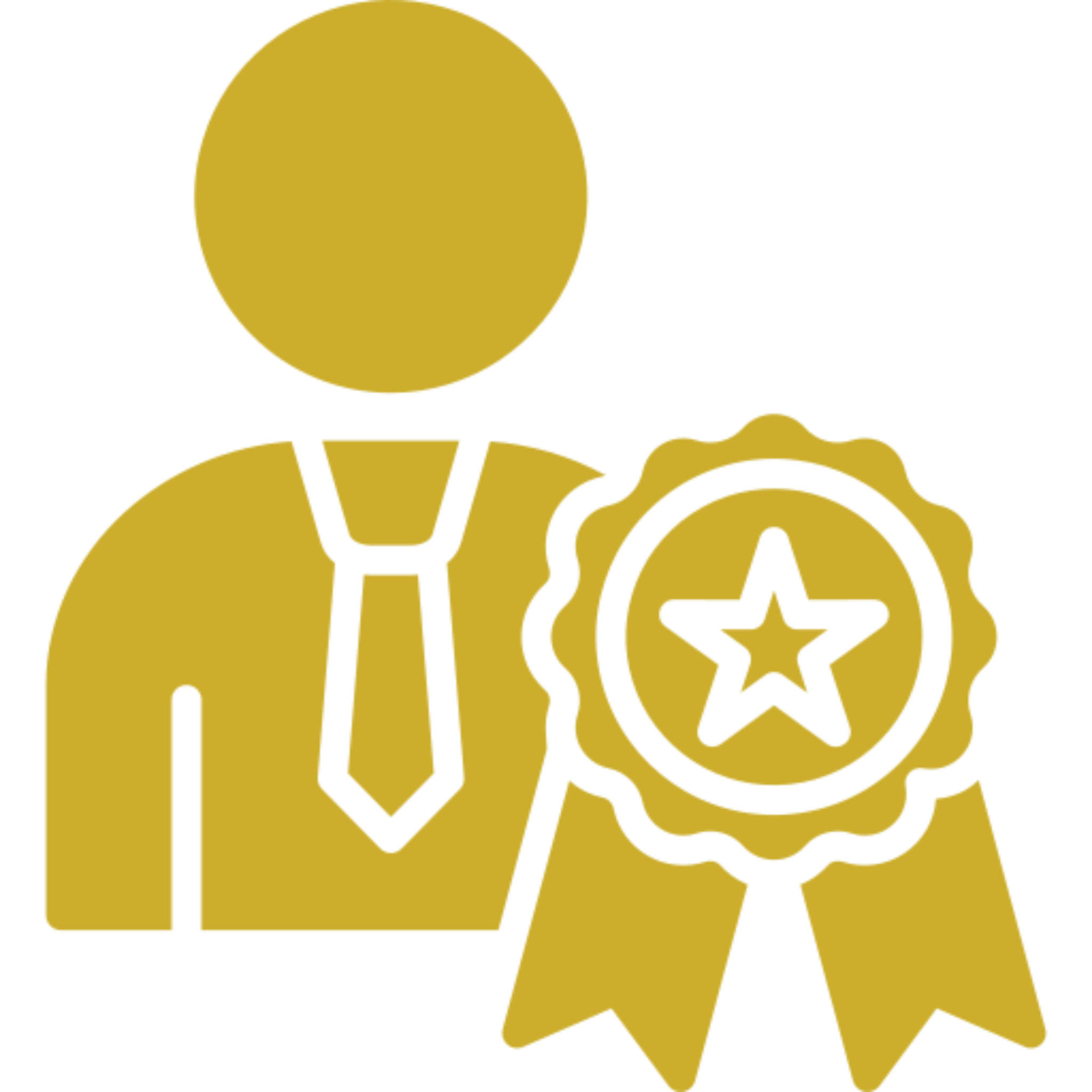 Experienced Professionals