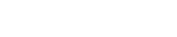 Solis Fencing