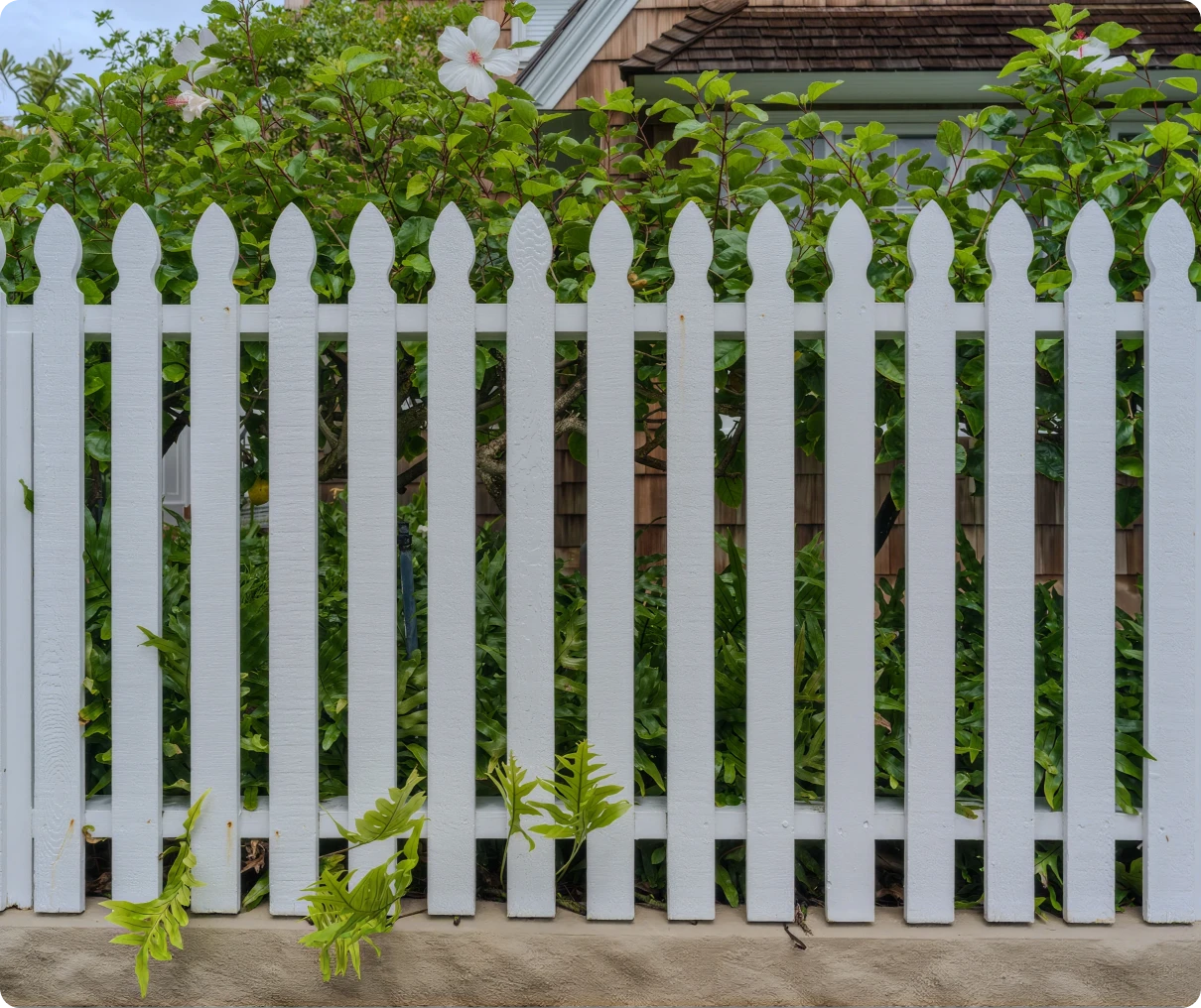 White picket fence with greenery behind it.