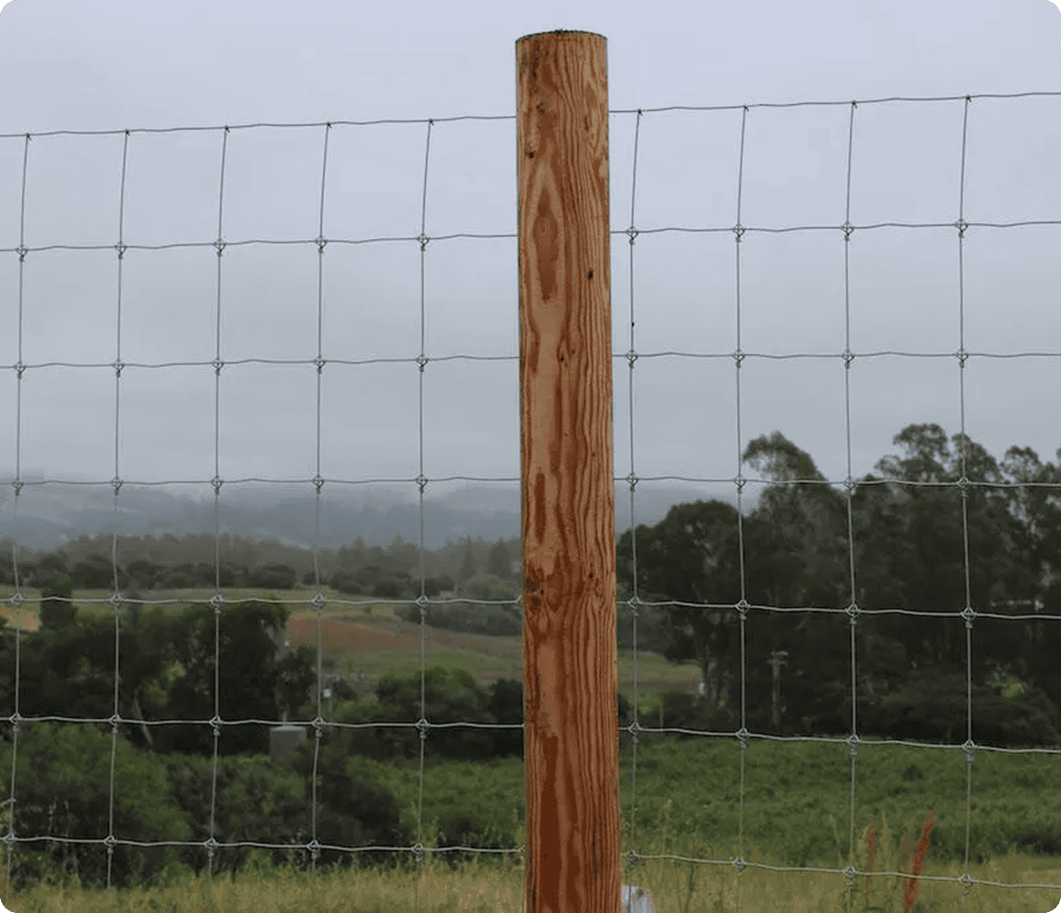 Wooden post and wire fence in field.