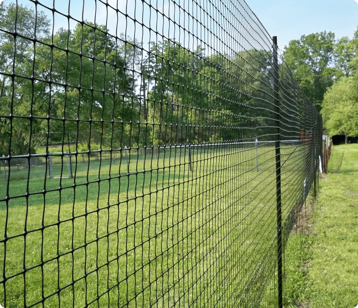 Mesh fence along green grassy field.
